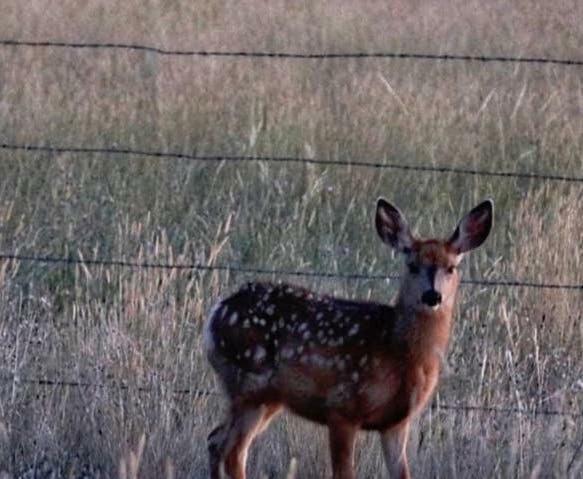 Fish Creek House Bed & Breakfast Silver Star Esterno foto